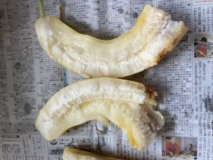 IMG_1346