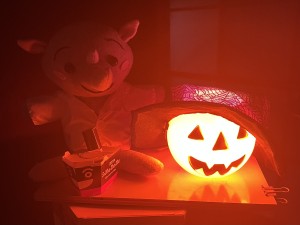 IMG_1520